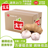 佳农宝菜山东姜蒜组合大蒜果径约5cm净重1斤装约各250g源头直发