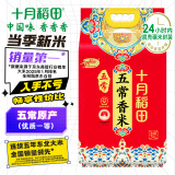 十月稻田 当季新米 五常香米 五常大米 10斤（东北大米 5公斤/十斤）