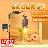 句可芦丁鸡保温灯自动控温保温箱保暖灯育雏鹦鹉小鸡取暖温控器太阳灯 单全陶灯座1个50W灯+九孔温控