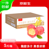 京鲜生金良宝  烟台红富士 苹果 净重5斤单果200g+  新鲜水果 源头直发