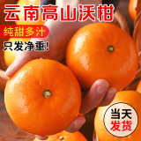 农多鲜正宗云南高原沃柑新鲜水果当季整箱一级纯甜蜜桔柑橘砂糖橘子 3斤 60-65mm
