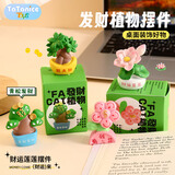 TaTanice儿童创意玩具发财树摆件青松发财好运有钱花趣味摆件生日礼物