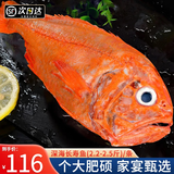 尚致长寿鱼新西兰红鱼新鲜海捕金黄鱼新鲜冷冻富贵鱼海鲜鱼类年夜饭 长寿鱼1条（2.2-2.5斤/条）