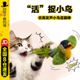自带干粮的猫猫咪玩具逗猫棒仿真会叫小鸟玩具幼猫自嗨解闷神器耐抓咬宠物用品