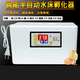 阔爱厨具孵化机孵化箱孵蛋器水床小鸡蛋芦丁孵化器小型机箱家用全自动 10枚单电+双屏显示-不带照蛋