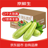 京鲜生 山东鲜嫩西葫芦 营养丰富新鲜采摘 净重3斤单果150g+源头直发