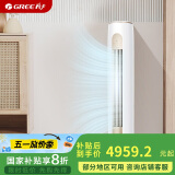 格力（GREE）2匹 京桂II 新一级能效 变频冷暖 净菌自洁 立柜式空调柜机 KFR-50LW/(50587)FNhAd-B1(JDWIFI)