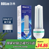 洛林（ROlin）led灯泡节能灯泡 e27大螺口家用商用大功率光源 30W白光