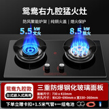 樱花燃气灶双灶家用天然气液化气灶具嵌入式猛火灶台式煤气灶大火力 标配款鸳鸯+防爆防风 液化气