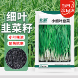 北蔬 韭菜种子苗小叶一年四季南北方家庭阳台菜籽 小细叶韭菜种子10g