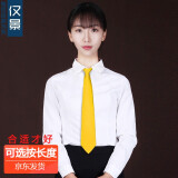 dascenery女士拉链领带正装商务职业学院风自动懒人方便免打易拉得领带女 黄色 哑光 150-170[38cm]