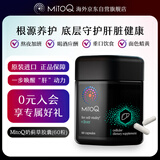 Mitoq奶蓟草胶囊60粒靶向修复肝细胞10倍吸收 水飞蓟 熬夜加班养肝护肝