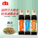 海天 凉拌汁组套 低脂调味汁 轻食 凉拌汁海鲜汁