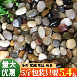 古达鹅卵石雨花石原石鱼缸造景花盆栽天然小石子庭院鹅软石石头 【5斤装】鹅卵石原石0.4-0.8cm