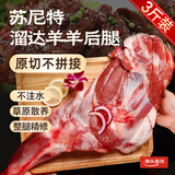 苏尼特 内蒙羔羊后腿3斤 散养原切溜达羊肉多肉生鲜火锅烧烤源头直发