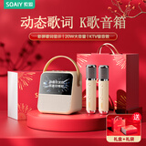 索爱（soaiy）GC200PRO歌词蓝牙音箱k歌话筒麦克风一体式用家庭用儿童ktv音响唱歌男女生日伴手礼物 礼盒版