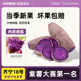 青馋猫湖南齐宁18号紫薯新鲜小紫薯婴儿辅食营养减肥早餐沙地紫薯 净重8.5-9斤【单果4-6两起】