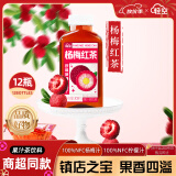 轻空杨梅红茶300ml*12瓶添加100%NFC杨梅汁100%NFC柠檬汁龙晴朱红箱