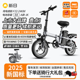 新日（Sunra）上市品牌折叠电动车自行车锂电池助力代步新国标代驾折叠车电瓶车 曜影-10减震/汽车级电芯/8A纯电约≤20KM