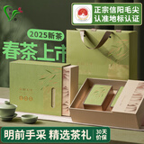 双碑绿茶信阳毛尖特级250g2025年明前新茶春茶茶叶礼盒装送人伴手礼