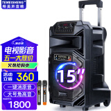 TEMEISHENG 特美声SL12-31广场舞音响户外低音炮大音量家用k歌唱歌便携式蓝牙移动户外音响大功率蓝牙音箱 15寸标配+2支无线话筒+大礼包