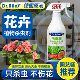 DR.RILEY德国原液花卉杀虫剂植物蚜虫呋虫胺喷雾土壤绿植月季花草红黑蜘蛛
