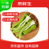 京鲜生山东新鲜尖椒净重3斤装 新鲜蔬菜 辣椒 源头直发