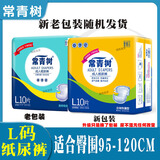 常青树成人纸尿裤男女大号老人用尿不湿老年人用大人护理 L码10片*整箱10包