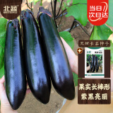 北蔬 茄子种子种苗黑又亮长茄阳台盆栽蔬菜种籽 黑妍长茄种子50粒