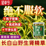 佰草令肾精草50g野生长白山肾精茶当季化石草肾精茶猫爪草黄金草嗷嗷叫