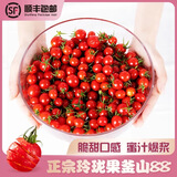 正宗釜山88玲珑千禧果小西红柿纯甜生鲜蔬菜孕妇水果现摘包邮 3斤【顺丰】