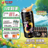 珠江啤酒（PEARL RIVER）9度 次元纯生啤酒 500ml*24听 整箱装