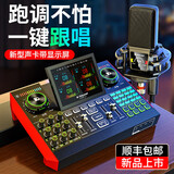 十盏灯 G4声卡套装手机电脑直播带货麦克风网红快手主播K歌喊麦通用抖音录音设备外置调音台全套 明星邱永传代言声卡【PKPRO电容麦-G10套装】