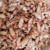 新货小海兔干货500克特级海兔子小鱿鱼墨鱼仔籽乌乌贼干笔管鱼干 500g