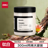 得力（deli）丙烯颜料300ml大容量墙绘手绘DIY画画丙烯画大桶装大瓶美术绘画彩绘钛白学生开学礼物