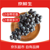 京鲜生 智利玫瑰香Sable无籽黑提 葡萄提子 450g尝鲜装 新鲜生鲜水果