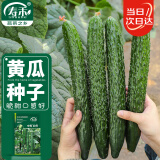 寿禾大黄瓜种子苗老品种密刺春季菜籽 潍育中寿四号黄瓜种子5g约120粒