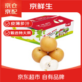 京鲜生 长城秋月梨 正宗莱阳 净重5斤5粒 单果400g+ 生鲜水果礼盒