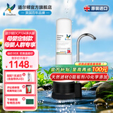 道尔顿（Doulton）净水器家用直饮英国进口 母婴定制款DCP104台上净水机保留矿物质天然滤材无双酚a宝妈母婴人群推荐 DCP104套机（自带/加配各1支和共2芯）