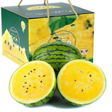 攸竹特小凤黄心西瓜 新鲜冰淇淋西瓜黄心黄壤甜西瓜当应季水果精选 京鲜直达 2颗装 净重共5.5-7.5斤