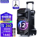 TEMEISHENG 特美声SL12-31广场舞音响户外低音炮大音量家用k歌唱歌便携式蓝牙移动户外音响大功率蓝牙音箱 12寸标配+2支无线话筒+支架