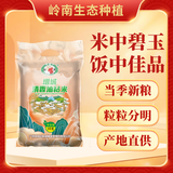 挂荔增城清香油粘米10斤 南方大米籼米  长粒香米
