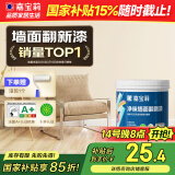 嘉宝莉（CARPOLY）补墙漆修补墙面翻新漆内墙去污遮盖净味内墙乳胶漆番木白1kg