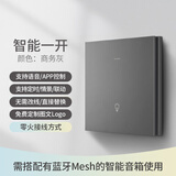 已接入米家app智能开关支持蓝牙mesh双控支持小爱同学语音灯控 零火版/需零线】智能一开-星空灰