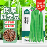 北蔬 四季豆种子苗豇豆搭架豆角春季阳台菜种籽 四季豆小金豆种子20g