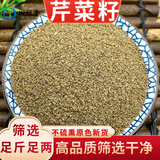 珈祁堂 芹菜籽中药材新货芹菜子泡水喝无硫新鲜干货芹菜籽可磨芹菜籽粉 芹菜子500克【新货】