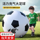 TaTanice充气大足球户外草坪沙滩玩具儿童足球巨型皮球幼儿园专用礼物 【加厚】60CM大足球+电动充气泵