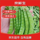 京鲜生 云南新鲜荷兰豆 净重1.5斤豌豆荚四季带壳扁豆新鲜蔬菜 源头直发