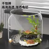 飞达三和乌龟饲养缸家用鱼缸客厅小型养乌龟专用箱生态造景晒爬台桌面龟缸 乌龟缸-大号【超清8K高透/防摔不坏】