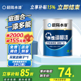 晨阳水漆（cysq）调和漆可刷金属家具暖气片钢管铁艺室内室外改色翻新自刷的水性漆 白色(送工具) 800g*1件